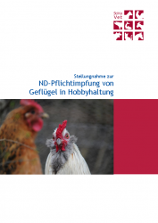 ND-Impfung Geflügel