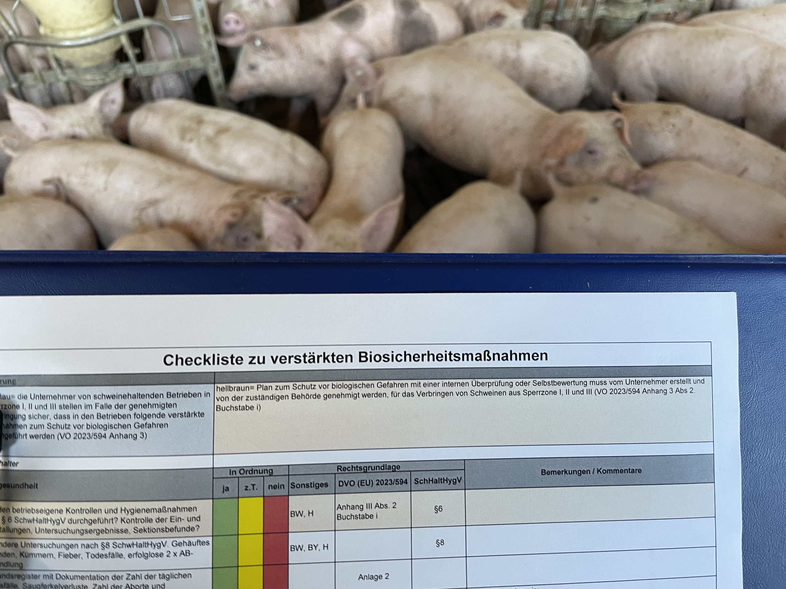 Das Land Baden-Württemberg startet ein neues, verbessertes ASP Früherkennungsprogramm