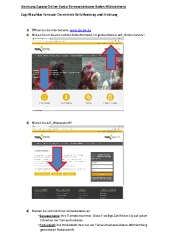 Anleitung Zugang Online für De-minimis
